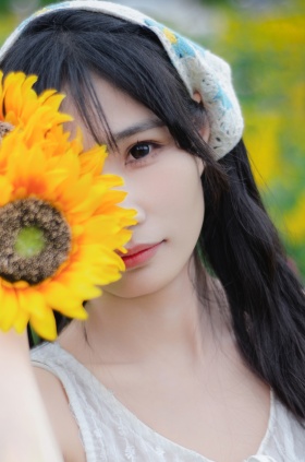 夏与向日葵