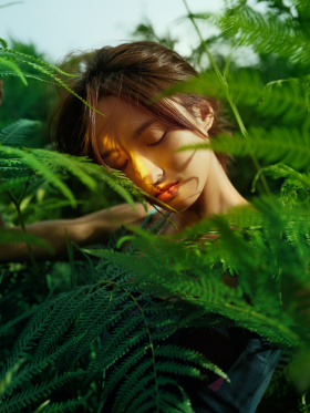 人间草木