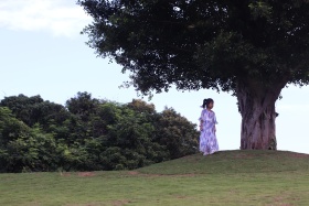 夏天的符号