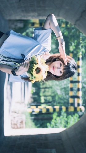 向日葵