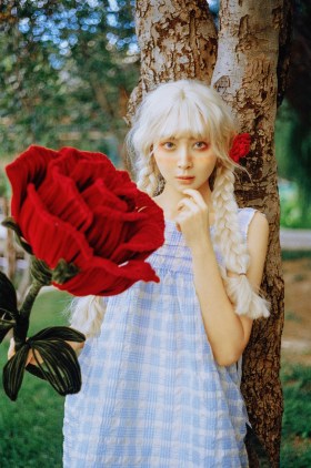 玫瑰精灵