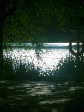 夏