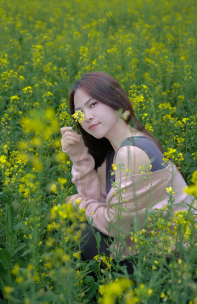 油菜花