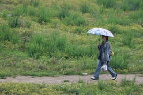 雨中漫步