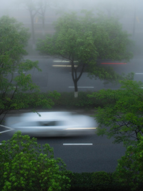 雾中记