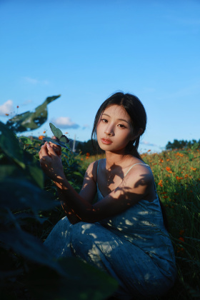 秋天的花