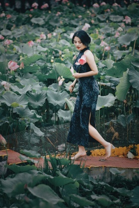 暗香与静美