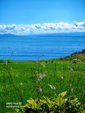 浪潮