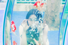 夏日 · 绿意与阳光 (green zoo)