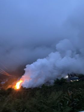 春夏秋冬又一春