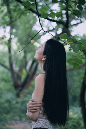 落木