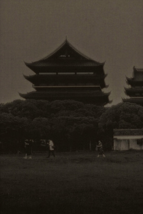 特别关照