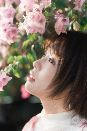 三角梅的季节