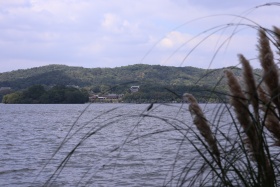西子湖光