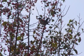 新手。求各位老法师指导开喷