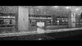 不知不觉又过了一个秋