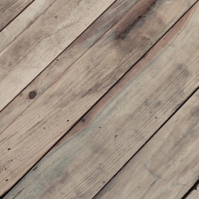 我的摄影日记｜木纹