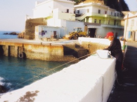 梦核·梦回千禧年