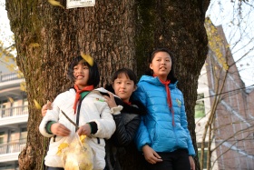 秋日银杏的欢声笑语