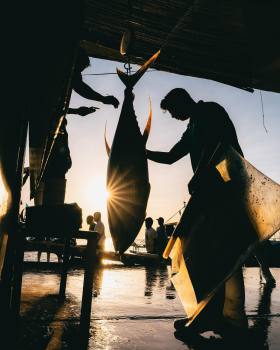 马尼拉街头的光与影