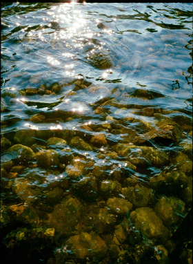 转眼夏天成了故事秋天成了风景