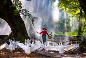 我的田园，我的梦