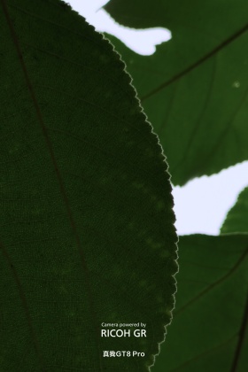 与光同行｜拾冬