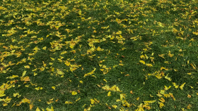 感受到一丝丝秋意