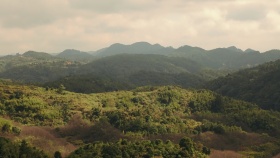 山里|原上|半空|石间