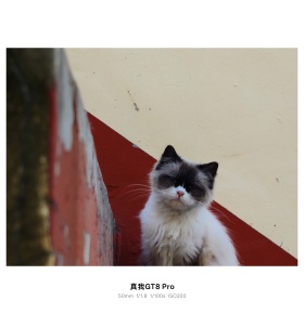 与光同行｜猎手