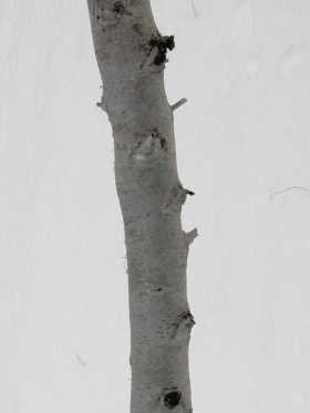 在现实与虚幻之间