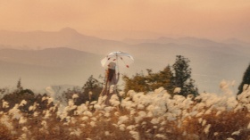 一些秋日氛围感