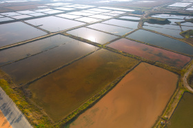 【航拍蒲城】卤泊滩与唐桥陵