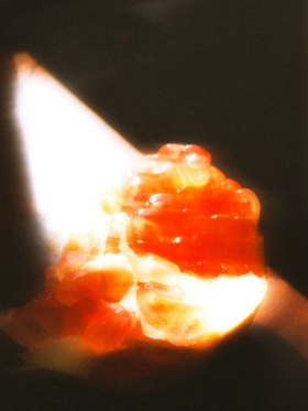 梦核·梦回千禧年