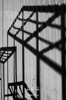 与光同行｜光影无声