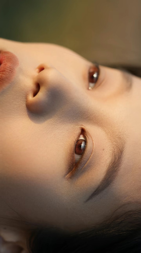 芦苇带来的自由清冷感