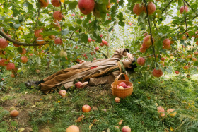 -《山林、苹果和秋天的你》