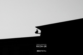 与光同行｜光阴