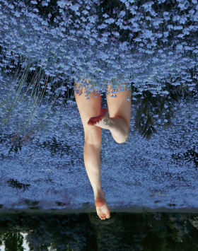 摄影师Elena D'Alessandro作品