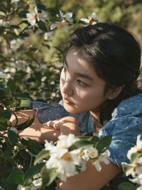 盛开的茶花   燃烧了花园