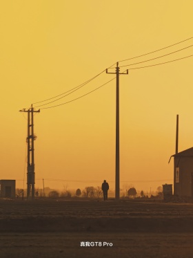 我的摄影日记｜冬日暖阳