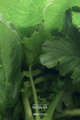 与光同行｜探索生活