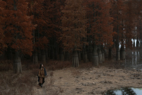 于宏大稀释痛苦，用微小感知幸福