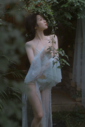 四时有序 流年半夏