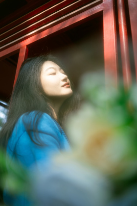 在阳光里往返四季