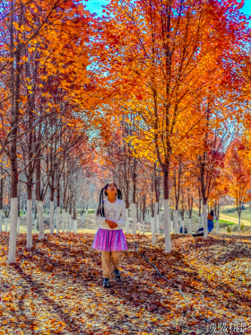 2025红叶季-文华学院