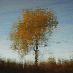 ccd取景框中的印象派风景