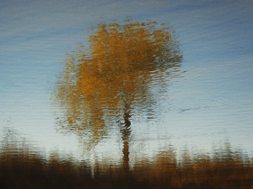 ccd取景框中的印象派风景