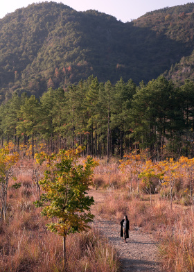楠溪江的醉美秋色