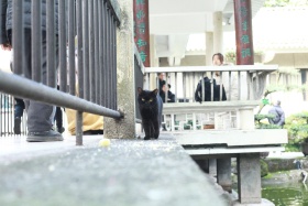 反差喵 可以随便撸